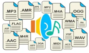audio format